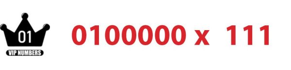 0100000x111