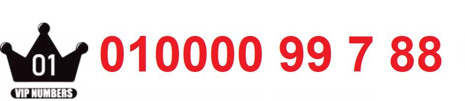 01000099877 VIPNUM