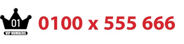 0100x 555666