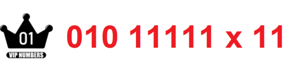 01011111x 11
