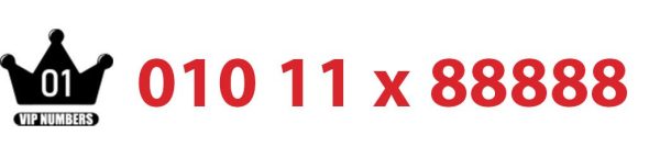 010.11x.88888