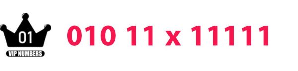010.11x11111