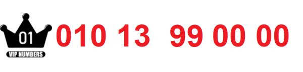010.13.990000
