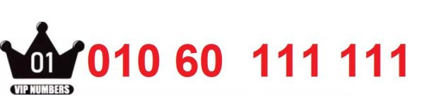 01060111111
