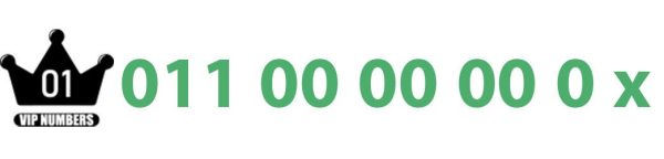 0110000000x