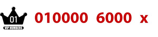 0100006000x
