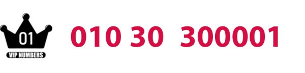 01030300001